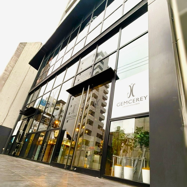 株式会社ジェムケリーグループホールディングス